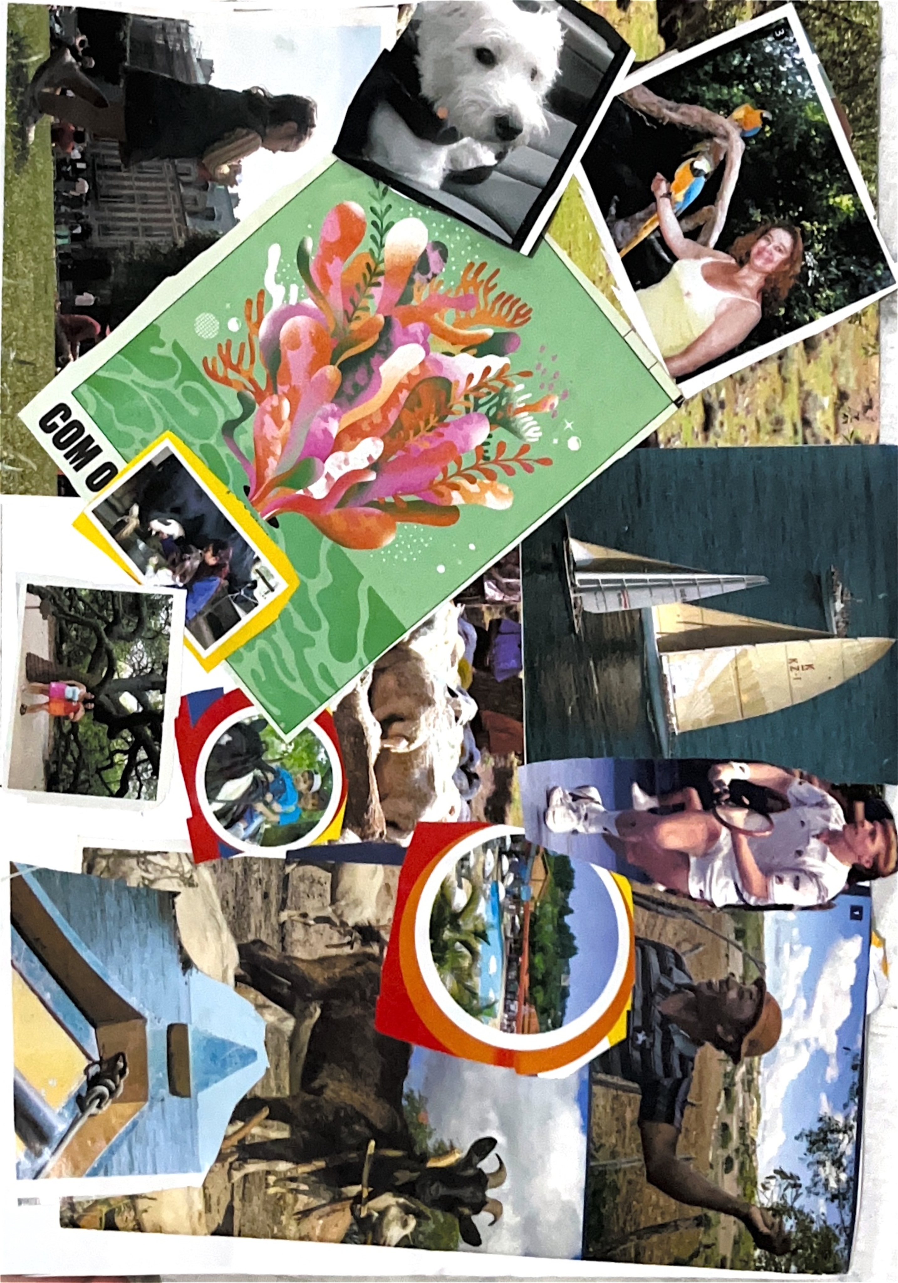 colagem da Cristiane